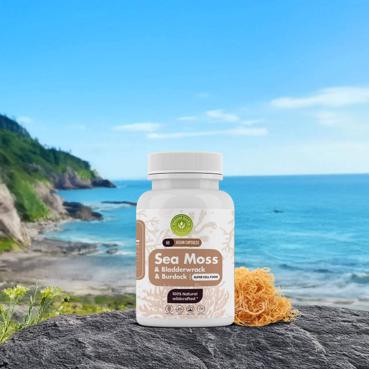 SEA MOSS